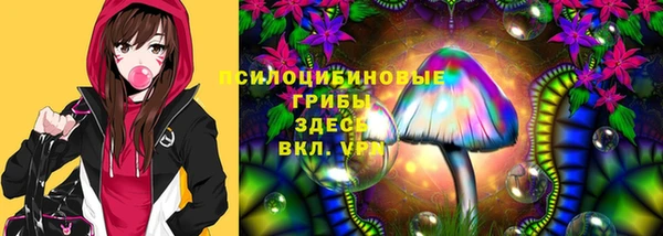 тгк Заводоуковск