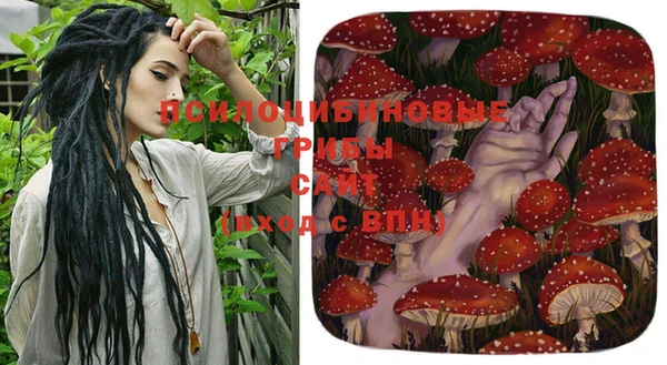 тгк Заводоуковск