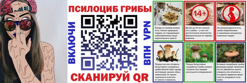 Купить закладки  Устюжна  Псилоцибиновые грибы мухоморы 